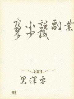 写小说副业能赚多少钱封面