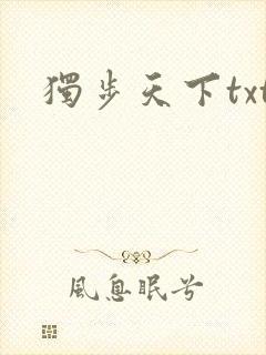 独步天下txt