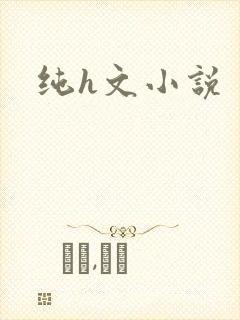 纯h文小说封面