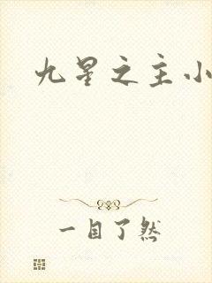 九星之主小说