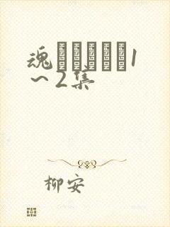 魂インサート1～2集