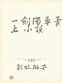 一剑独尊青鸾峰上 小说
