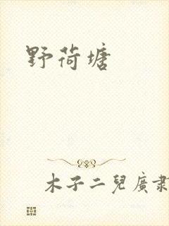 野荷塘封面
