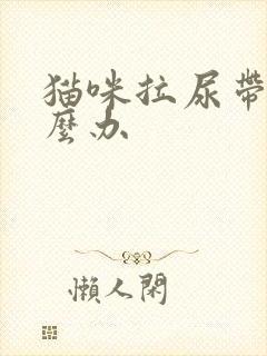 猫咪拉尿带血怎么办