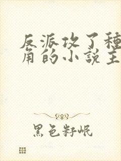 反派攻了种马主角的小说主攻