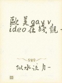 欧美gay video在线观看