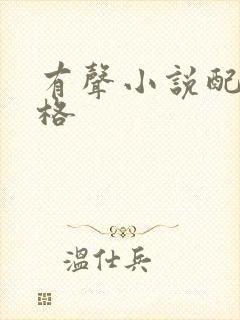 有声小说配音价格