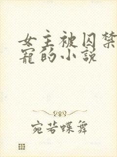 女主被囚禁当禁宠的小说封面