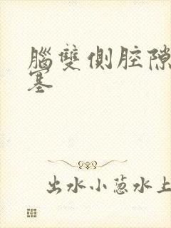 脑双侧腔隙性梗塞