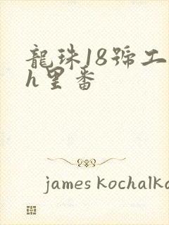 龙珠18号工口h里番封面