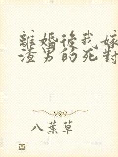 离婚后我嫁给了渣男的死对头