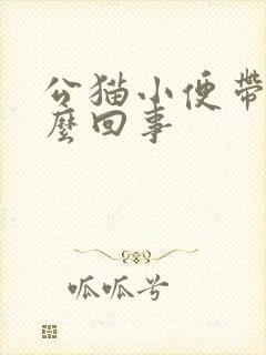 公猫小便带血怎么回事