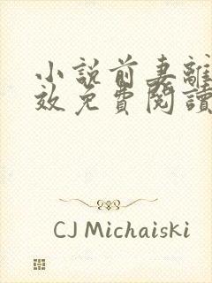 小说前妻离婚无效免费阅读