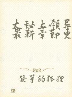 大秘上领导夫人最新章节更新