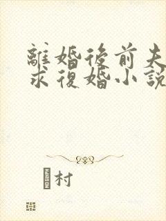 离婚后前夫哭着求复婚小说完整版本封面