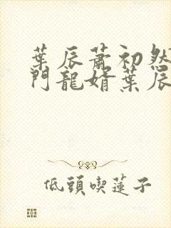 叶辰萧初然 上门龙婿叶辰看全集