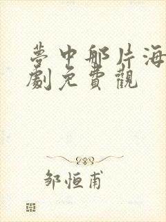 梦中那片海电视剧免费观