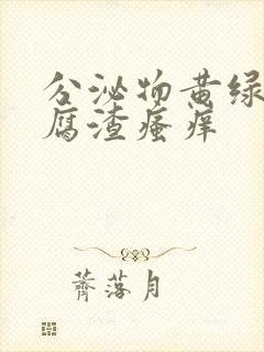 分泌物黄绿色豆腐渣瘙痒