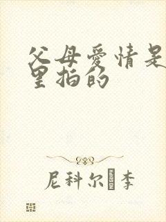 父母爱情是在哪里拍的