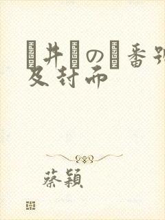辻井ほのか番号及封面