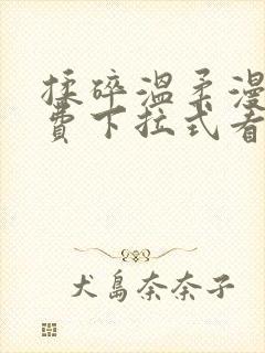 揉碎温柔漫画免费下拉式看漫画最新章节