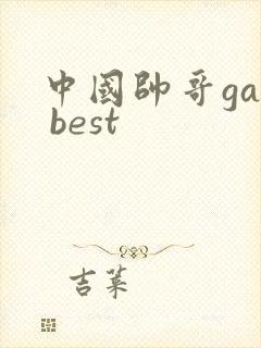 中国帅哥gay best