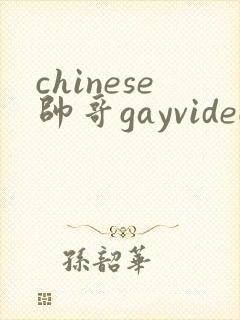 chinese帅哥gayvideo