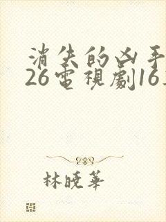 消失的凶手2026电视剧16集免费播放全封面
