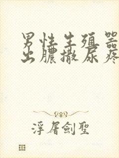 男性生殖器尿道出脓撒尿疼