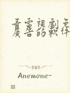 看电视剧免费无广告的软件