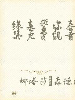 缘来誓你泰剧全集免费观看