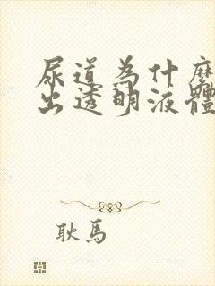 尿道为什么会流出透明液体