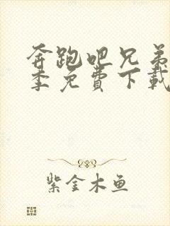 奔跑吧兄弟第八季免费下载封面