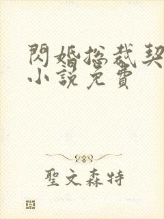 闪婚总裁契约妻小说免费封面