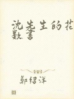 沈先生的花式调数书