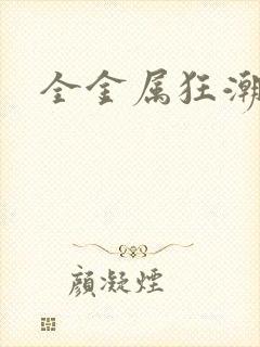 全金属狂潮小说封面