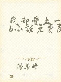 我却爱上一个sb小说免费阅读无弹窗封面