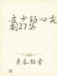夜少的心尖宠短剧27集