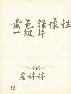 黄色录像性生活一级片