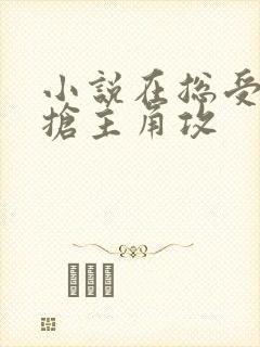 小说在总受文里抢主角攻封面