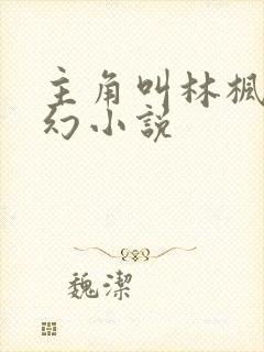 主角叫林枫的玄幻小说