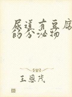 尿道有豆腐渣似的分泌物