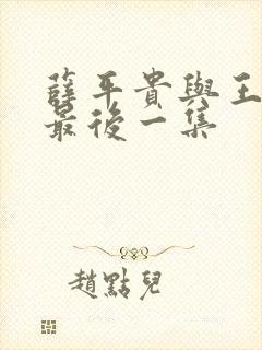 薛平贵与王宝钏最后一集封面