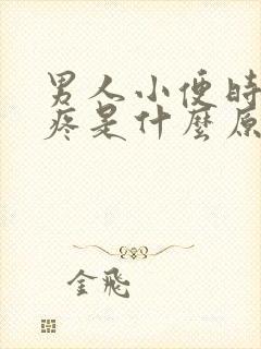 男人小便时有点疼是什么原因