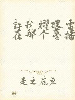 许我耀眼电视剧在哪个台播出