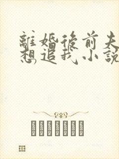 离婚后前夫总是想追我小说在线阅读