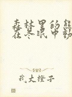 森林里的熊先生在冬眠中动漫未增减版