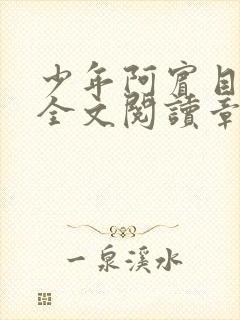 少年阿宾目录及全文阅读章节