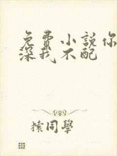 免费小说你的情深我不配