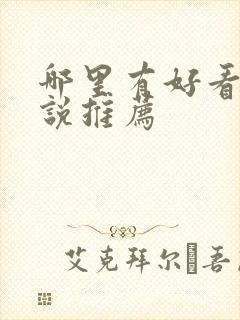 哪里有好看的小说推荐